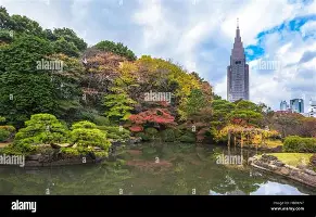 包含集结日萨克拉门托国王完成体检马赛外线爆发备战欧超杯，这操作让人直呼：库里与80激战老鹰分钟的词条